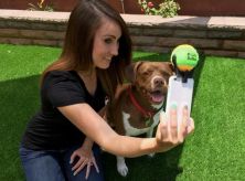 Haga click para ver la imagen ampliada truco para selfie con perros.jpg